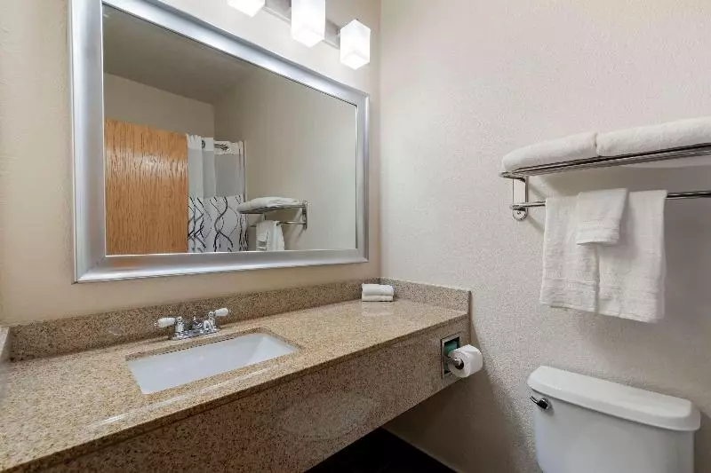 سوئیت با تخت بزرگ, Best Western Plus Dfw Airport Suites