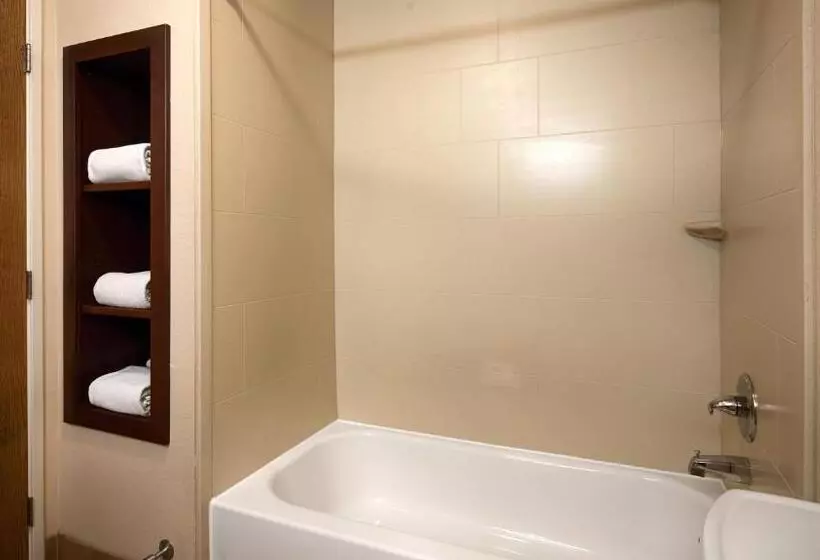 キングサイズベッドのスタンダードルーム, Best Western Plus Gateway Inn & Suites   Aurora