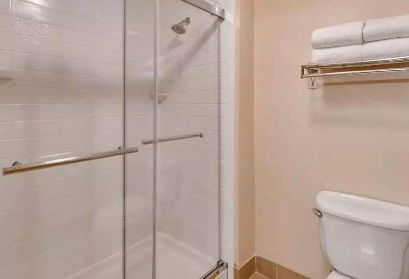 キングサイズベッドのスタンダードルーム, Best Western Plus Gateway Inn & Suites   Aurora
