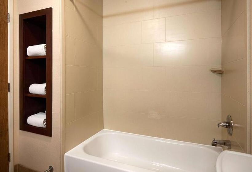 غرفة قياسية سرير كينج, Best Western Plus Gateway Inn & Suites   Aurora