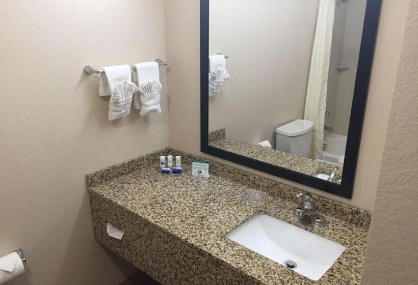 غرفة قياسية, Best Western Plus Gateway Inn & Suites   Aurora