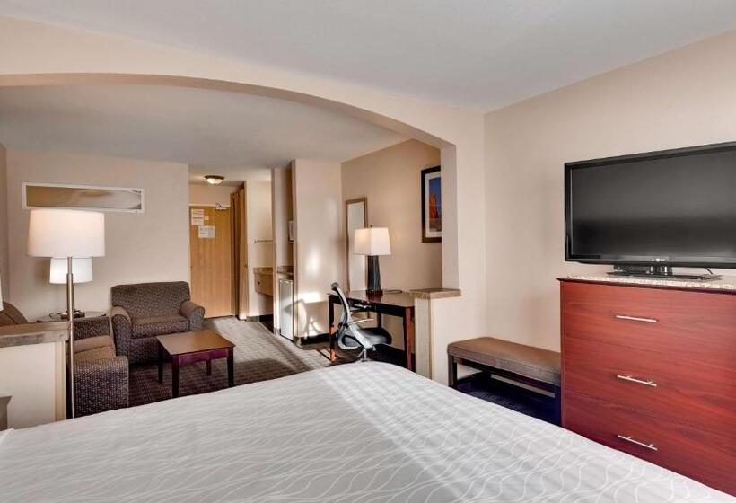 Люкс Кровать Кинг, Best Western Plus Gateway Inn & Suites   Aurora