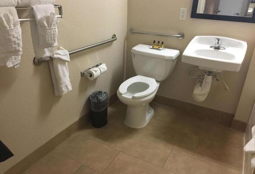 غرفة قياسية لذوى الاحتياجات الخاصة, Best Western Plus Gateway Inn & Suites   Aurora