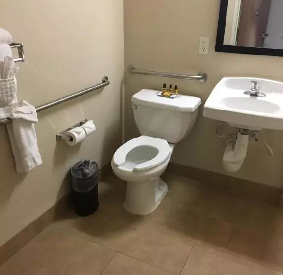 身障者適用キングサイズベッドルーム, Best Western Plus Gateway Inn & Suites   Aurora