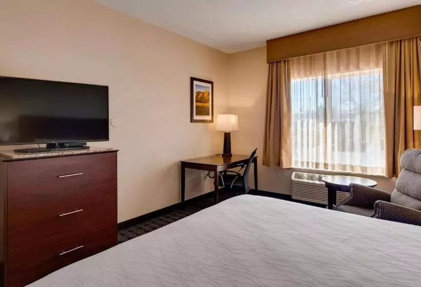 身障者適用キングサイズベッドルーム, Best Western Plus Gateway Inn & Suites   Aurora