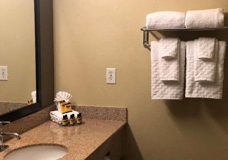 מיטת קינג בסוויטה, Best Western Plus Hill Country Suites   San Antonio