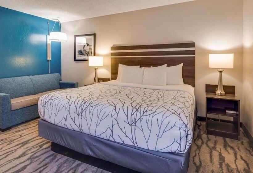 Mozgáskorlátozott Standard Szoba King Size Bed, Best Western Plus Knoxville Cedar Bluff