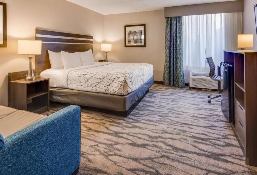 身障者適用キングサイズベッドルーム, Best Western Plus Knoxville Cedar Bluff