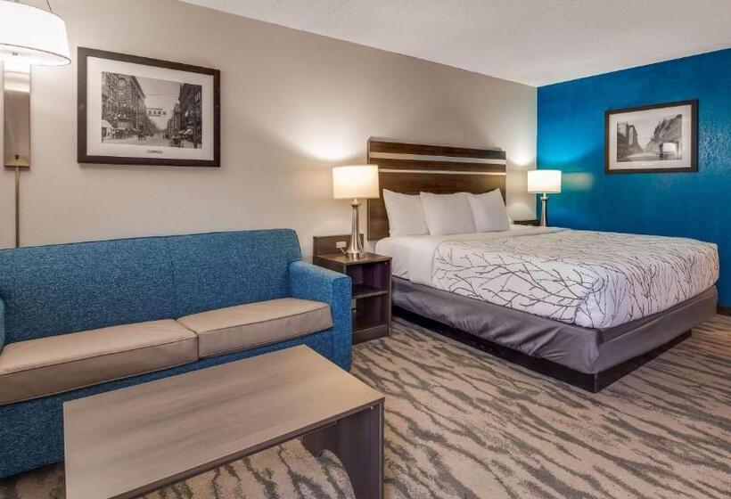 キングサイズベッドのスタンダードルーム, Best Western Plus Knoxville Cedar Bluff