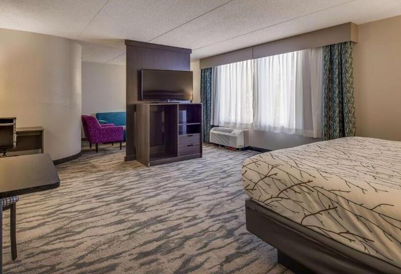 Suite King Size Bed, Best Western Plus Knoxville Cedar Bluff