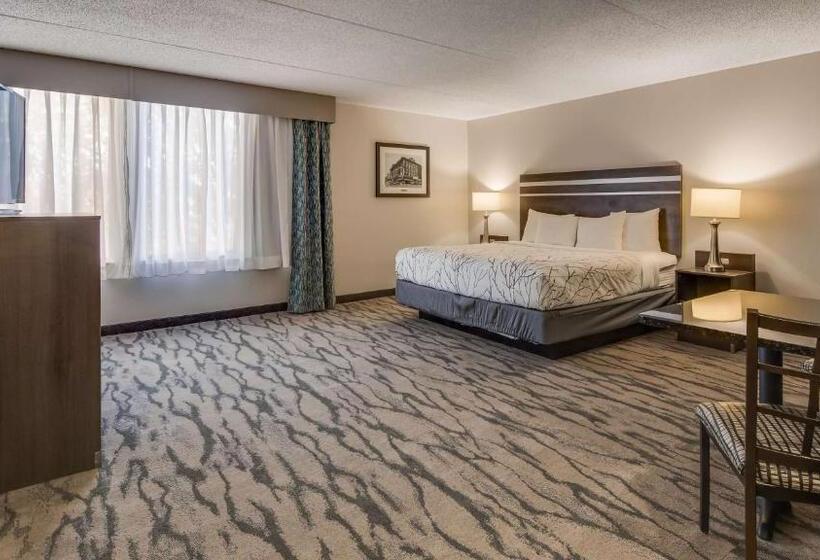 キングサイズベッドのスイートルーム, Best Western Plus Knoxville Cedar Bluff