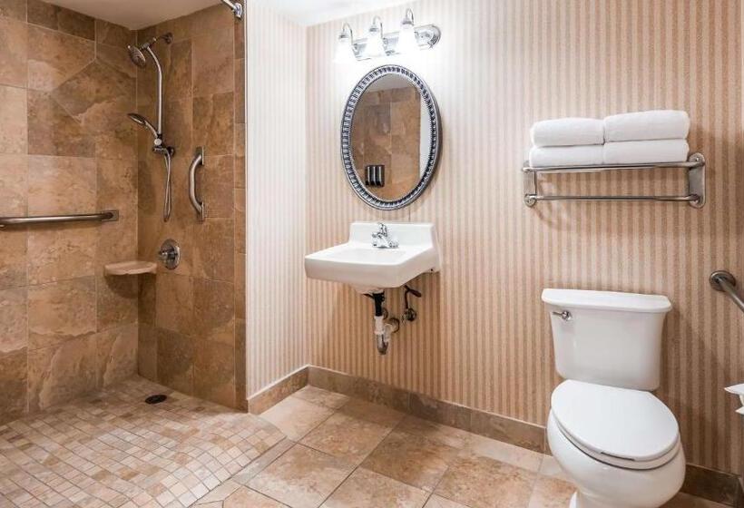 身障者適用キングサイズベッドルーム, Best Western Plus Knoxville Cedar Bluff