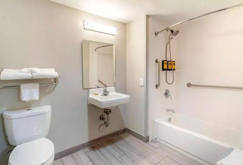 身障者適用キングサイズベッドルーム, Best Western Plus Knoxville Cedar Bluff