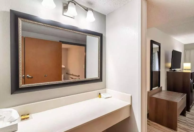 身障者適用キングサイズベッドルーム, Best Western Plus Knoxville Cedar Bluff