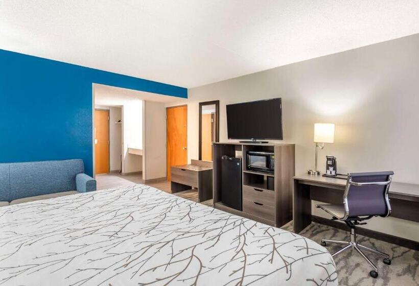 Mozgáskorlátozott Standard Szoba King Size Bed, Best Western Plus Knoxville Cedar Bluff