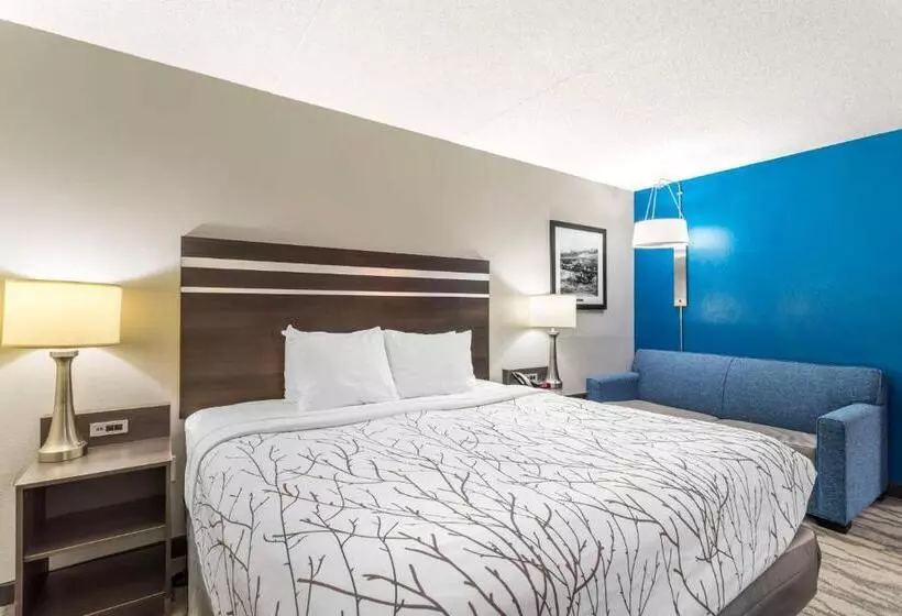 身障者適用キングサイズベッドルーム, Best Western Plus Knoxville Cedar Bluff