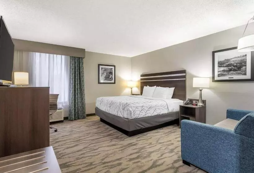 身障者適用キングサイズベッドルーム, Best Western Plus Knoxville Cedar Bluff