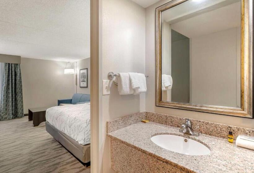 キングサイズベッドのスタンダードルーム, Best Western Plus Knoxville Cedar Bluff