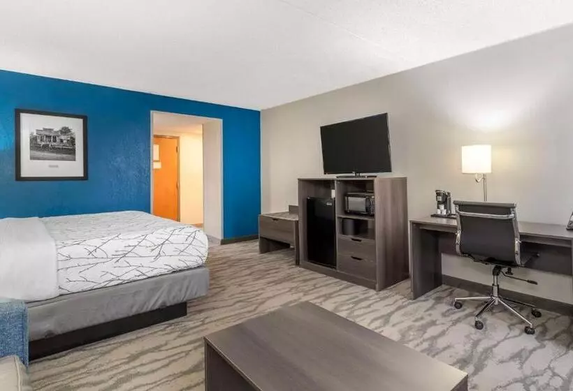 キングサイズベッドのスタンダードルーム, Best Western Plus Knoxville Cedar Bluff