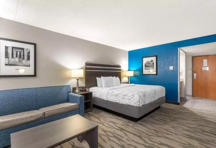 キングサイズベッドのスタンダードルーム, Best Western Plus Knoxville Cedar Bluff