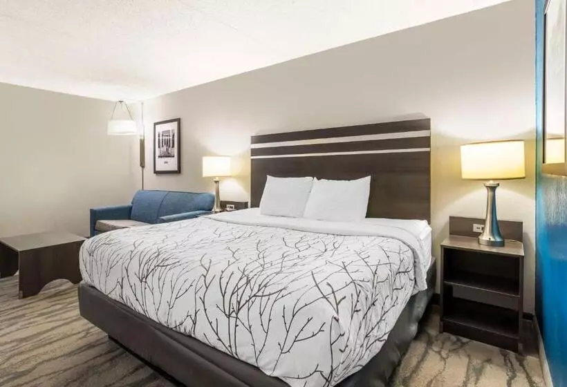 キングサイズベッドのスタンダードルーム, Best Western Plus Knoxville Cedar Bluff
