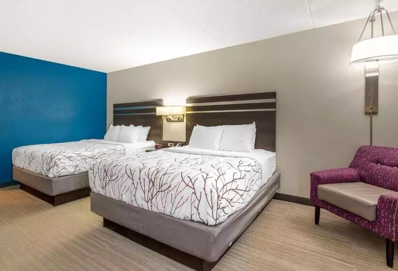 スタンダードルーム, Best Western Plus Knoxville Cedar Bluff