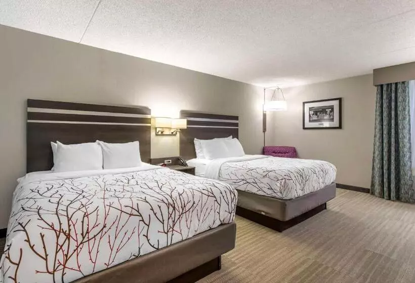 スタンダードルーム, Best Western Plus Knoxville Cedar Bluff