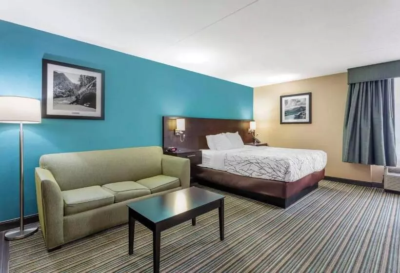 キングサイズベッドのスイートルーム, Best Western Plus Knoxville Cedar Bluff
