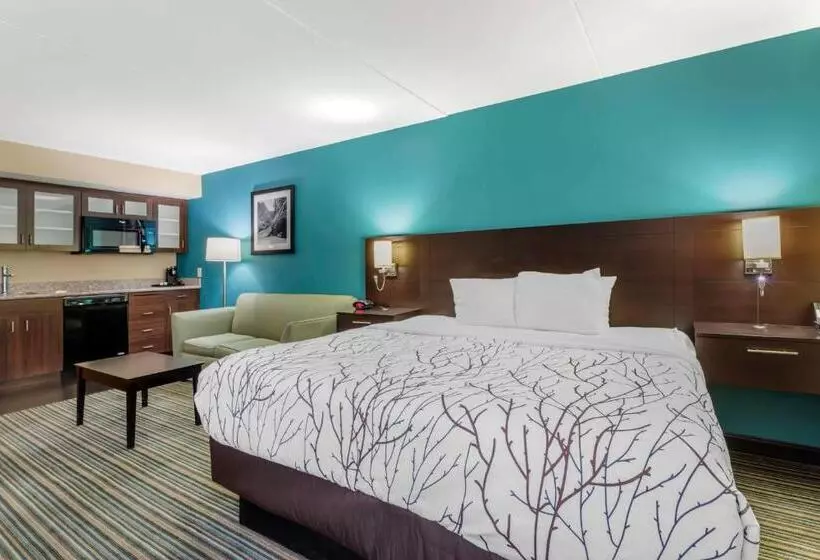 キングサイズベッドのスイートルーム, Best Western Plus Knoxville Cedar Bluff