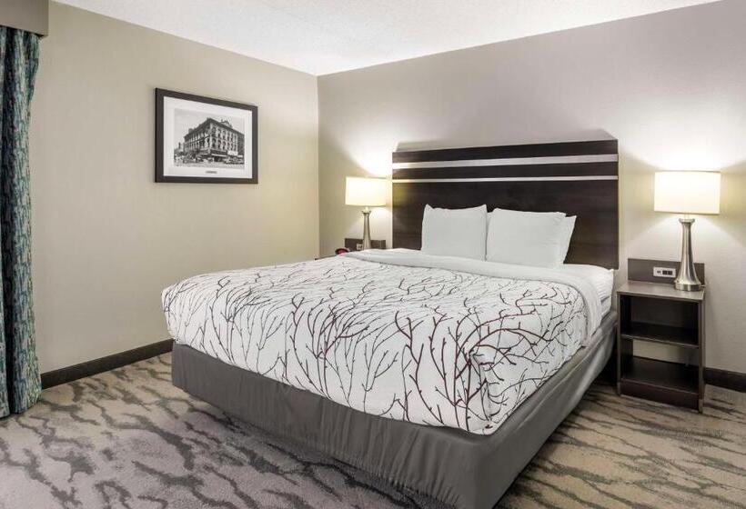 キングサイズベッドのスイートルーム, Best Western Plus Knoxville Cedar Bluff