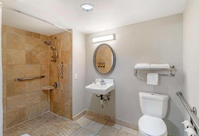 身障者適用キングサイズベッドルーム, Best Western Plus Knoxville Cedar Bluff