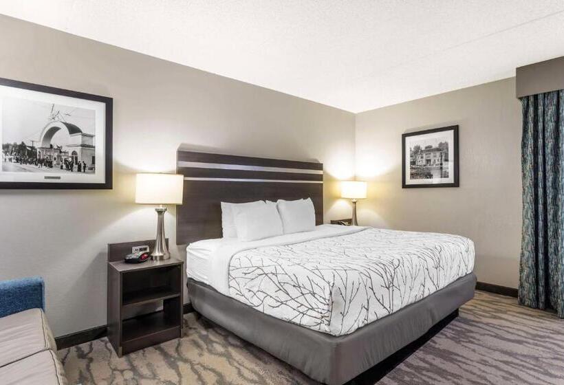 身障者適用キングサイズベッドルーム, Best Western Plus Knoxville Cedar Bluff