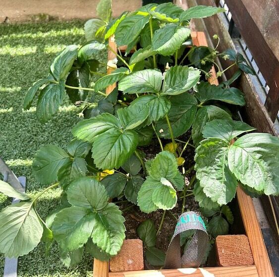 غرفة قياسية, Kyriad Marne La Vallee Torcy