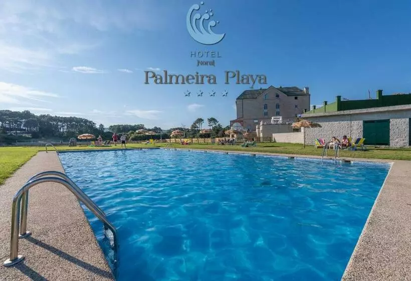 اتاق استاندارد, Norat Palmeira Playa