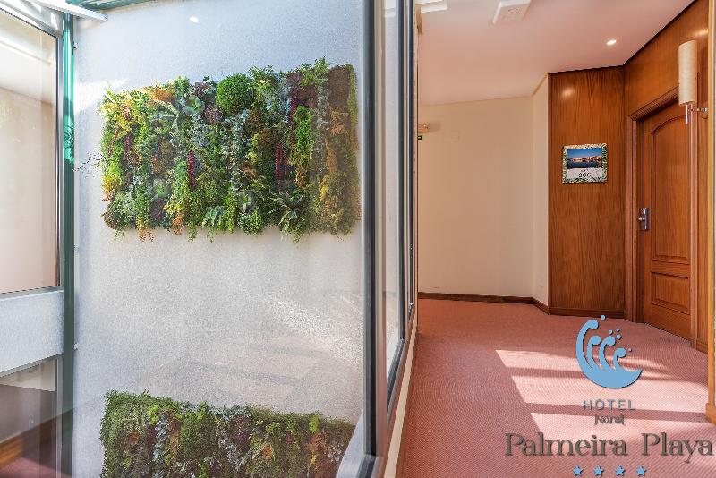 غرفة قياسية داخلية, Norat Palmeira Playa