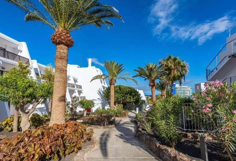 سوئیت جونیور با تراس, Sol Fuerteventura Jandia - All Suites