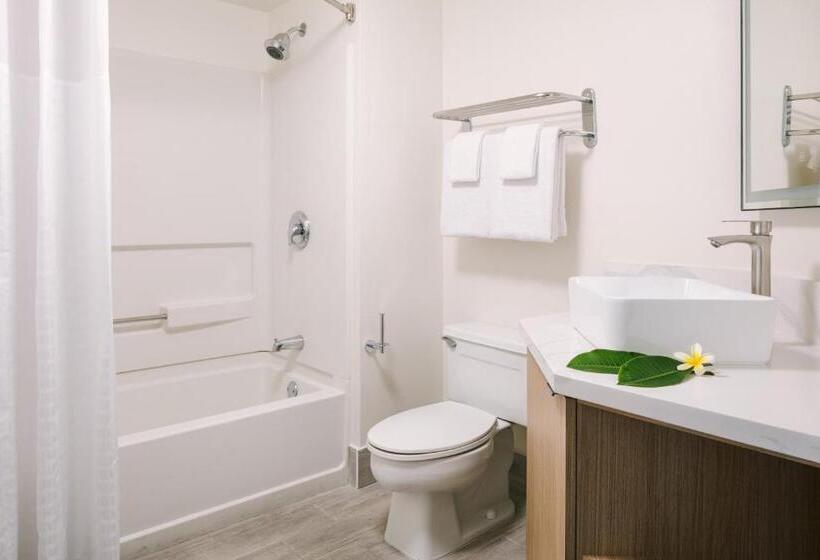 غرفة قياسية, Sonder Solarena