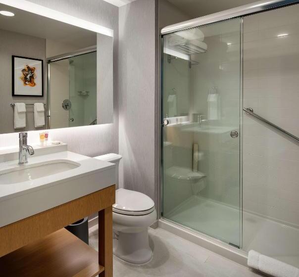 Стандартный Номер Кровать Кинг, Hyatt Place Boston/seaport District