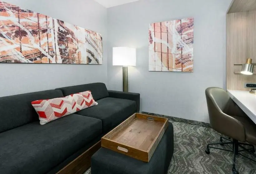 スタンダードルーム, Springhill Suites Lakeland