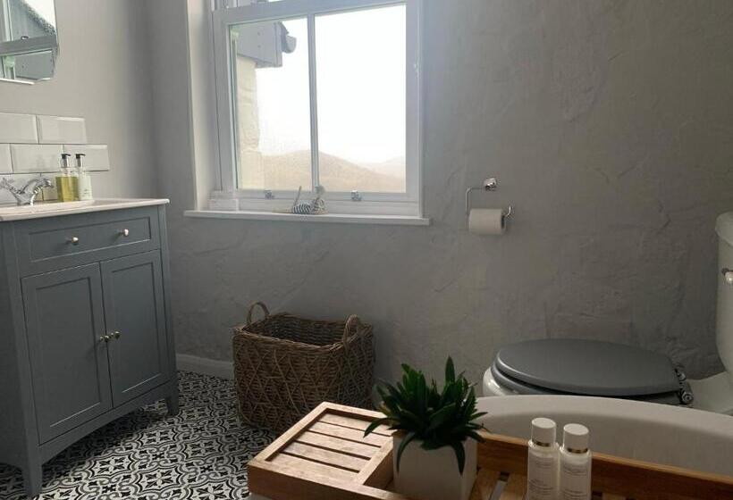 带大床的标准间, Ty Capel