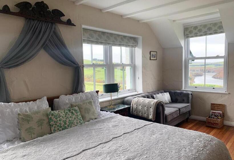 带大床的标准间, Ty Capel