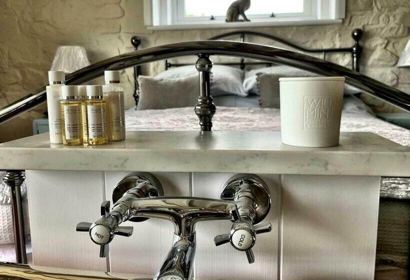 带大床的标准间, Ty Capel