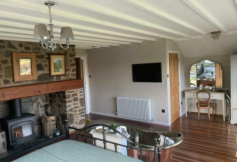 带大床的标准间, Ty Capel