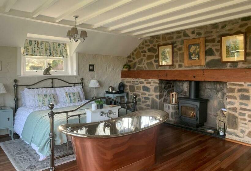 带大床的标准间, Ty Capel