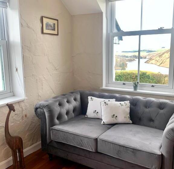 带大床的标准间, Ty Capel