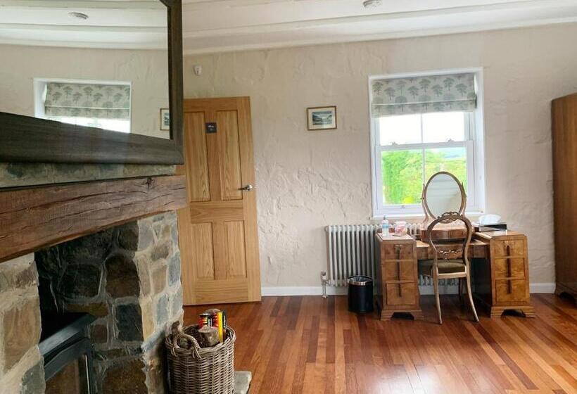 带大床的标准间, Ty Capel