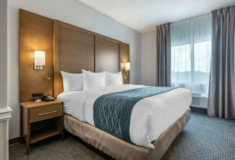 キングサイズベッドのスイートルーム, Comfort Suites Stuarthutchinson Island