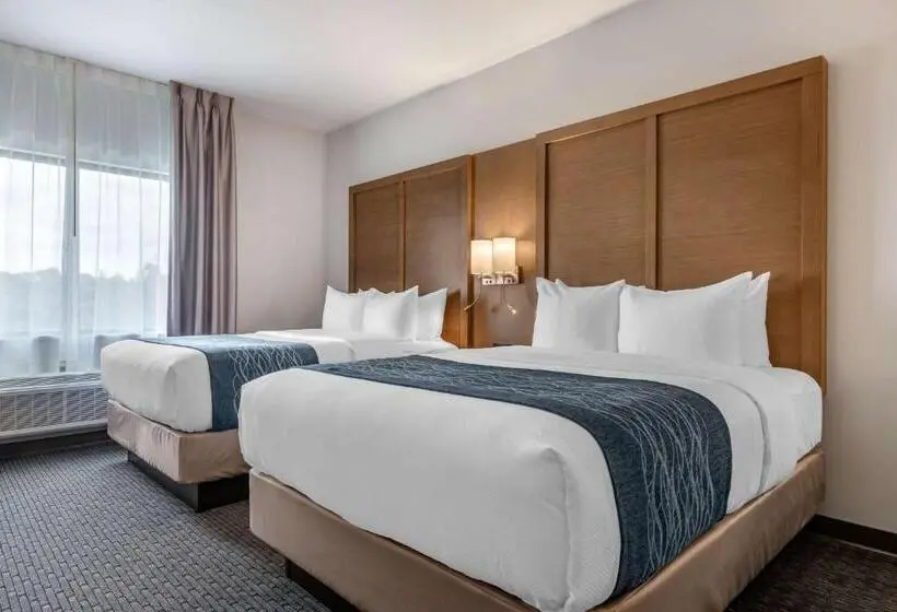 スイート, Comfort Suites Stuarthutchinson Island