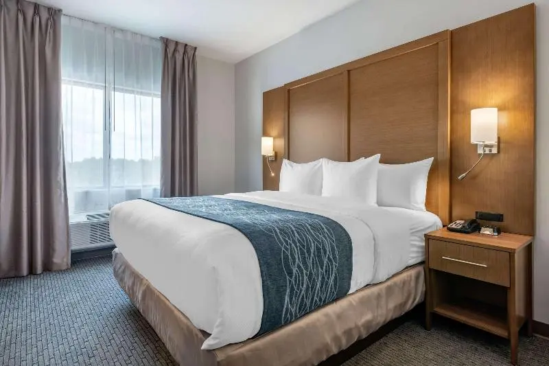 キングサイズベッドのスイートルーム, Comfort Suites Stuarthutchinson Island