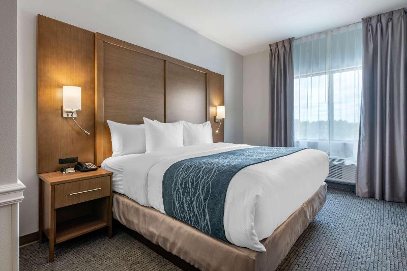 جناح سرير كينج, Comfort Suites Stuarthutchinson Island